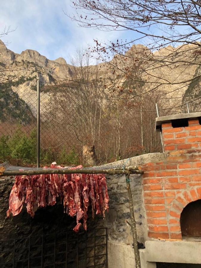 Отель Cold Spring Тети Экстерьер фото